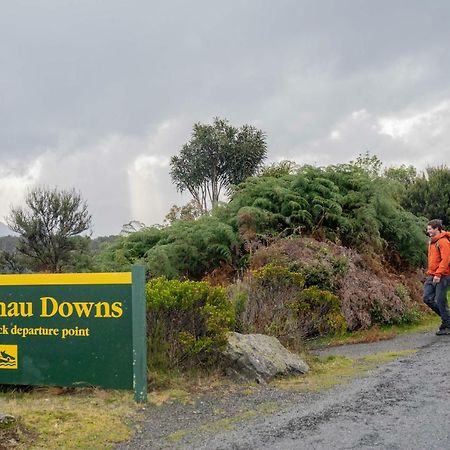 Lone Moose Backpackers Te Anau Exterior photo