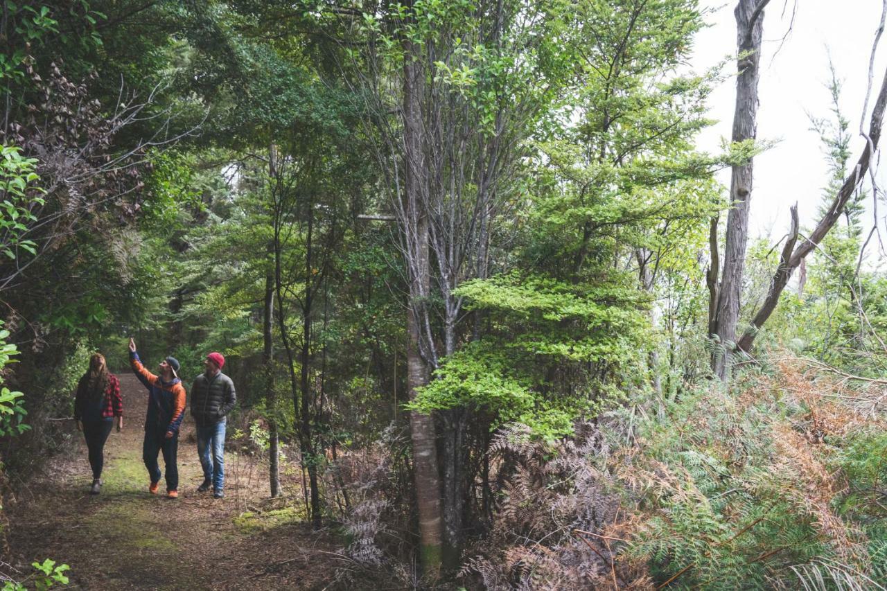 Lone Moose Backpackers Te Anau Exterior photo
