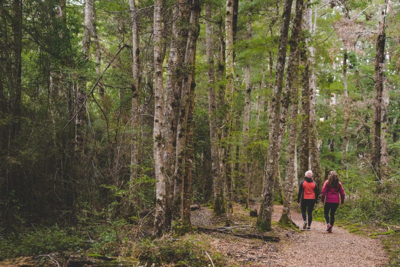 Lone Moose Backpackers Te Anau Exterior photo
